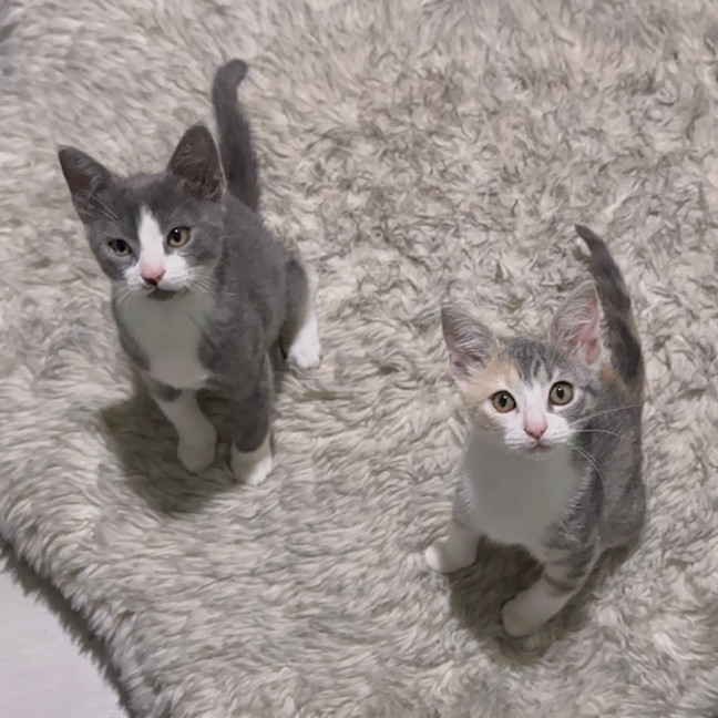 Photo of Georgia 🍒