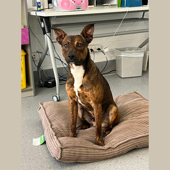 Photo of Toohey! 🍻