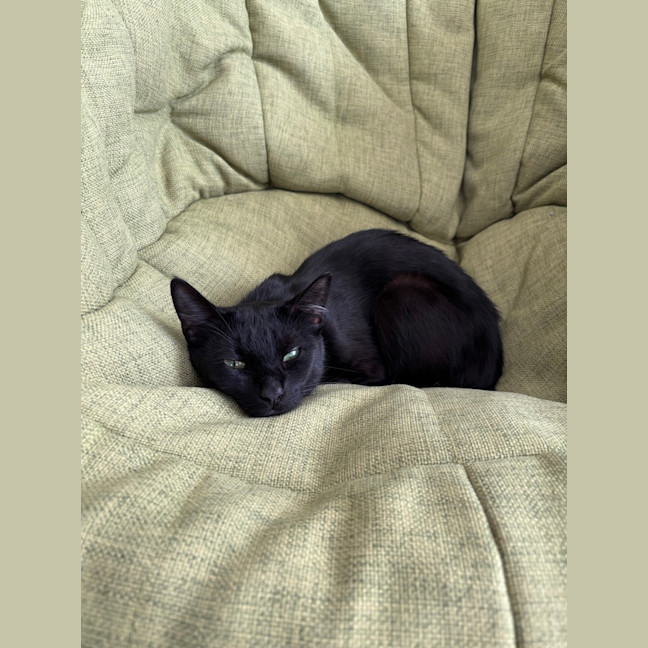 Photo of Merp (Previously Leanne) 