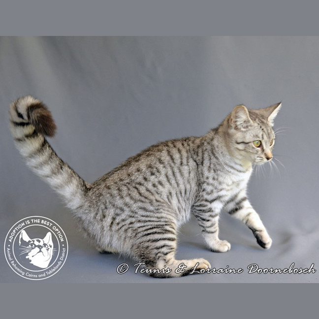 Photo of Twinkletoez