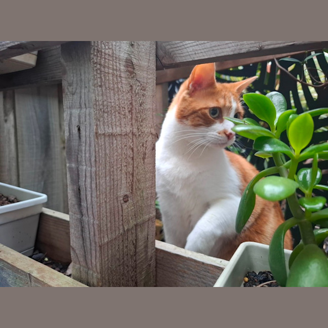 Photo of Hamish