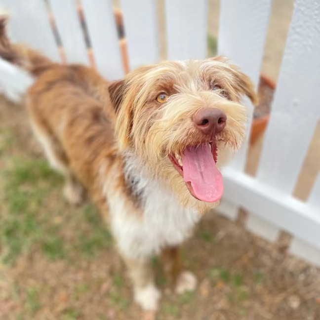 Photo of Tank