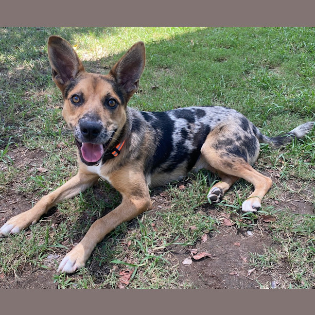 Photo of Maggie   Mae 