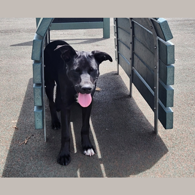 Photo of Cash