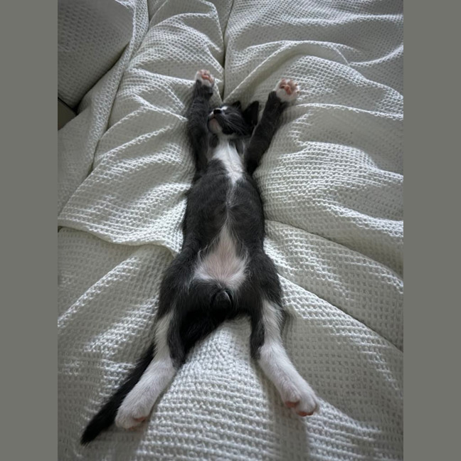 Photo of Fruit Loops