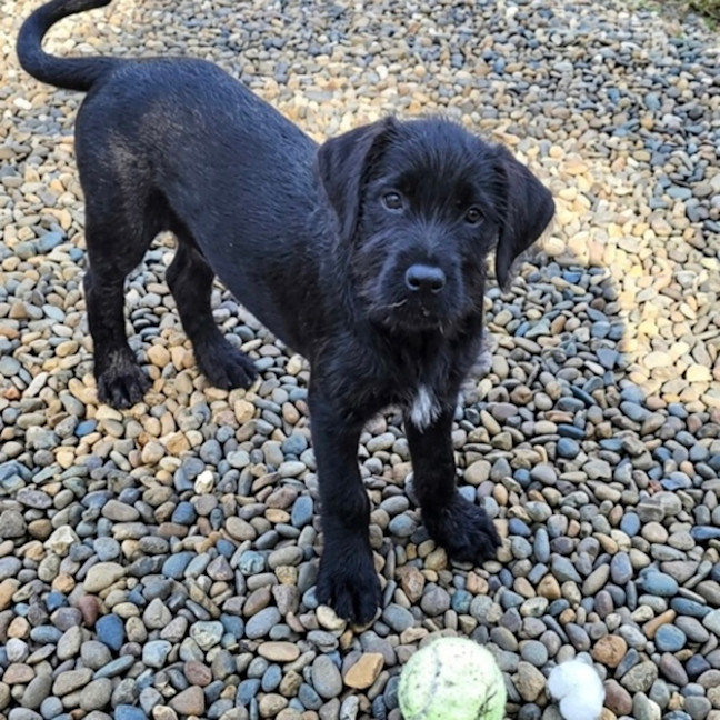 Photo of Hattie