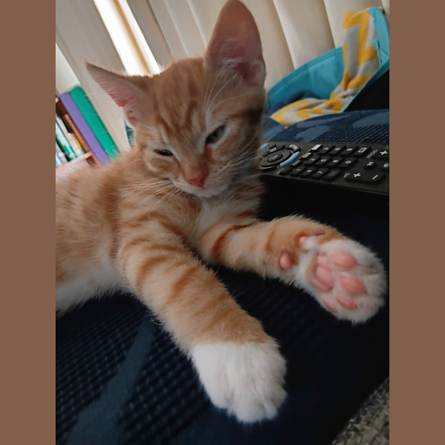 Photo of Buddy & Squeak