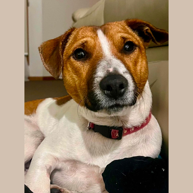 Photo of Zuzu