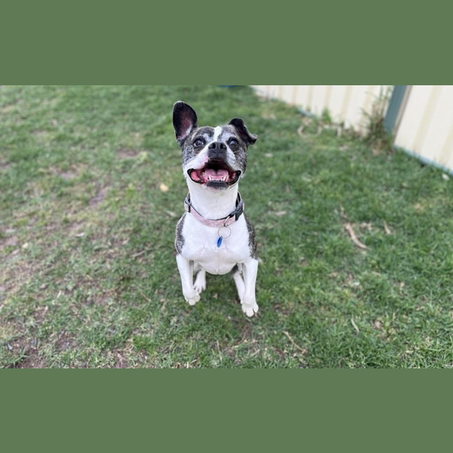 Photo of Bug