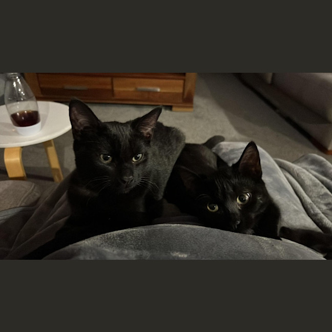 Photo of Pepper