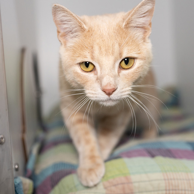 Photo of Murphy