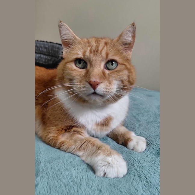 Photo of Richard Parker 