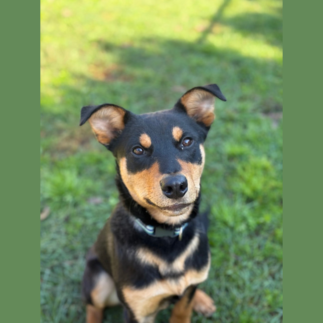 Photo of Louis