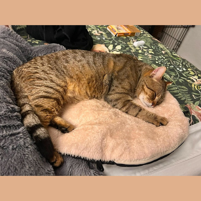 Photo of Steve