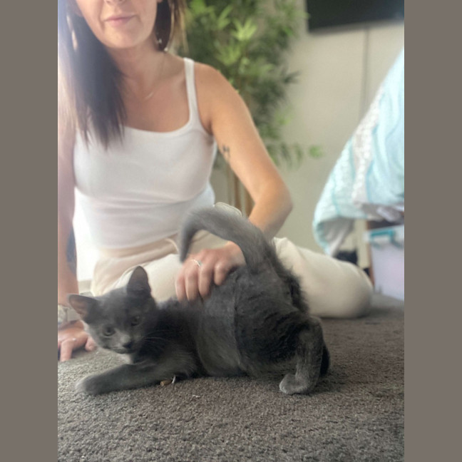 Photo of Emo Meet Me @Petstock Mornington Store 