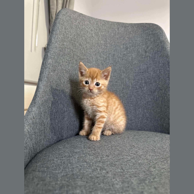 Photo of Spud & Squid