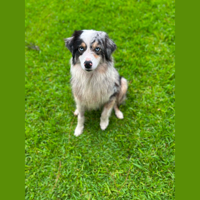 Photo of Mitzy 
