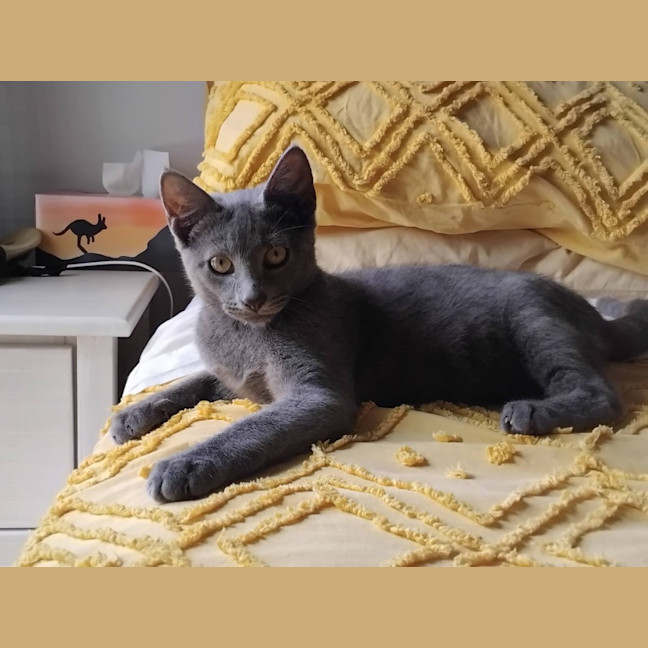 Photo of Frodo