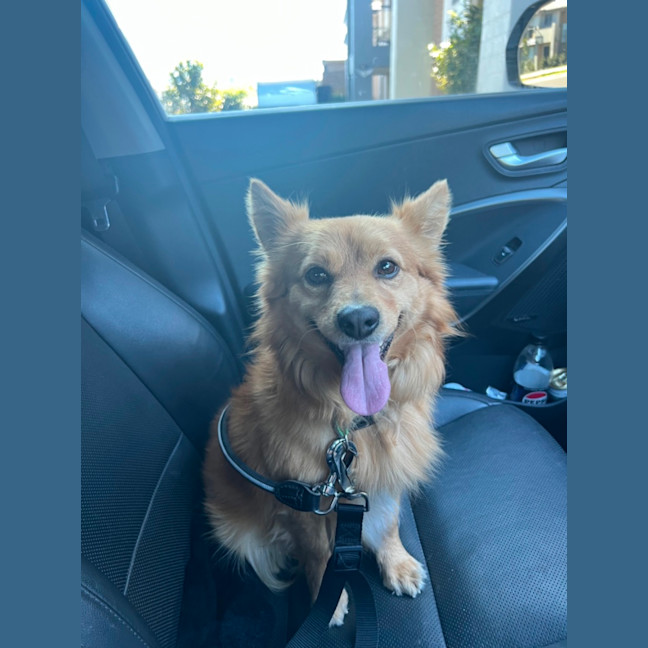 Photo of Bear   The Real Life Teddy 