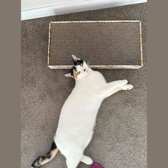 Photo of Yumi
