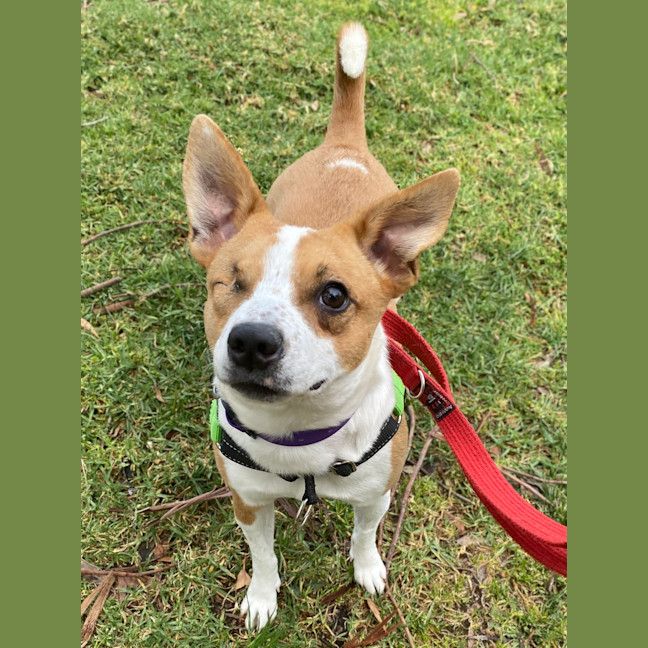 Photo of Winnie