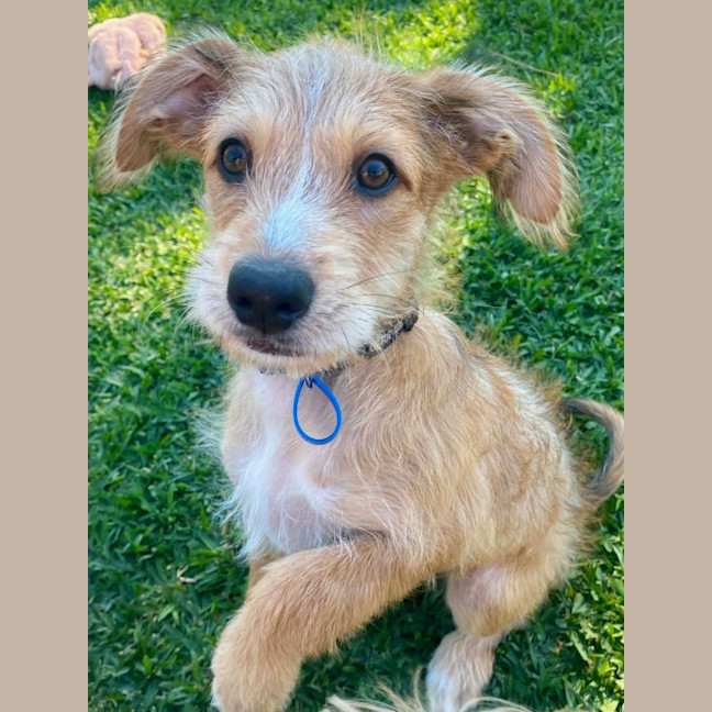 Photo of Cinnamon