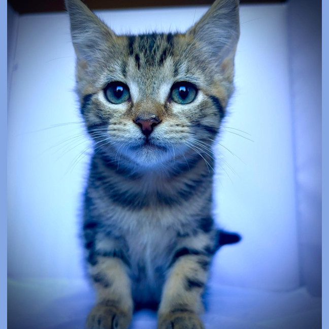Photo of Zippy