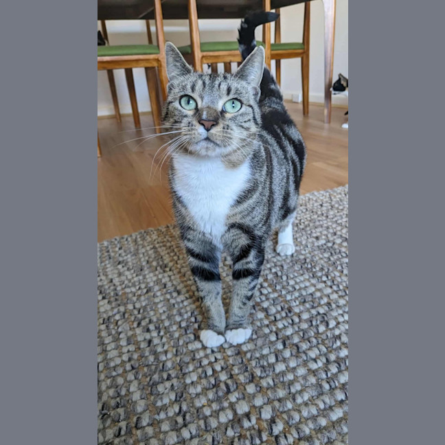 Photo of Oreo & Elisha 