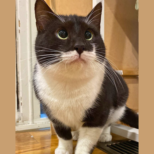 Photo of Maggie