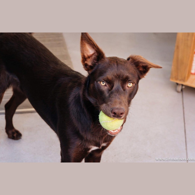 Photo of Milo Haliwell