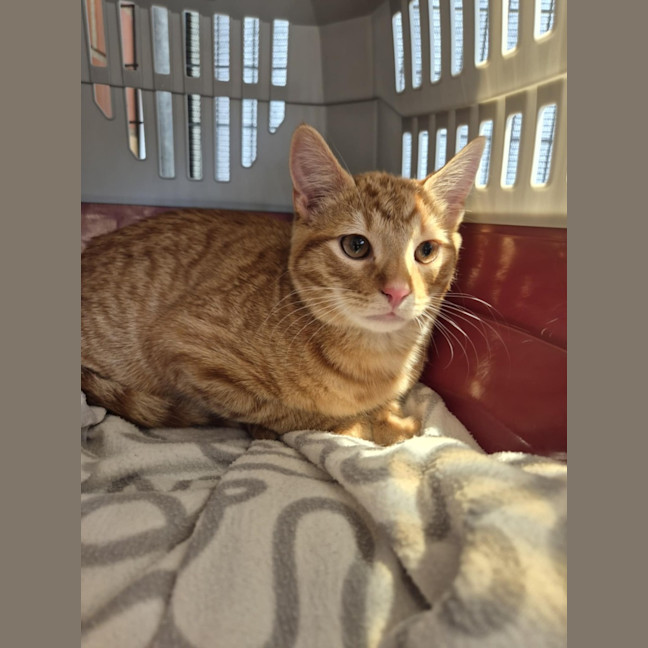 Photo of Monkey! 🦧 