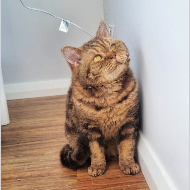 Photo of 🥜Carmen🥜