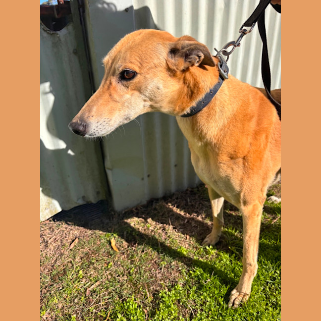 Photo of Sandy Girl 