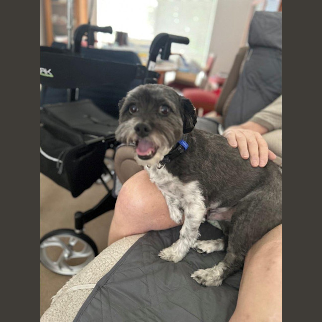 Photo of Cooper Xenos