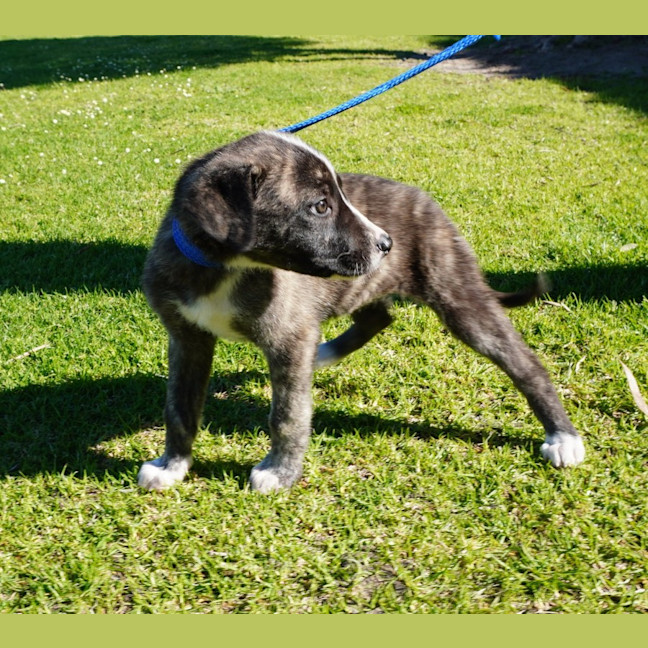 Photo of Lumi