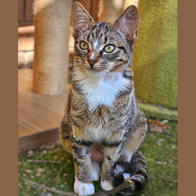 Photo of Lily