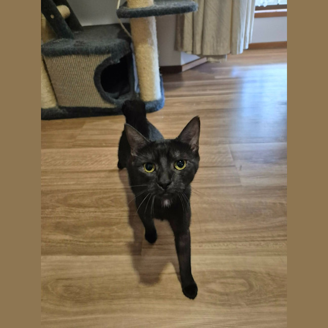 Photo of Ruby