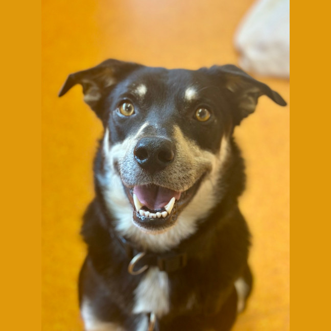 Photo of Spirit