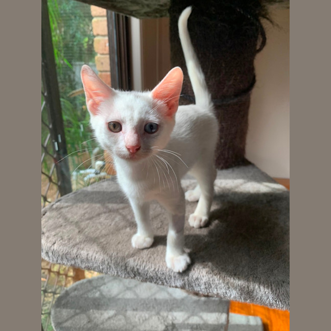 Photo of Ace 🤍🐻‍❄️🐻‍❄️