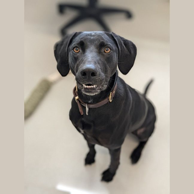 Photo of 🍁 Lucy 5575 🍁