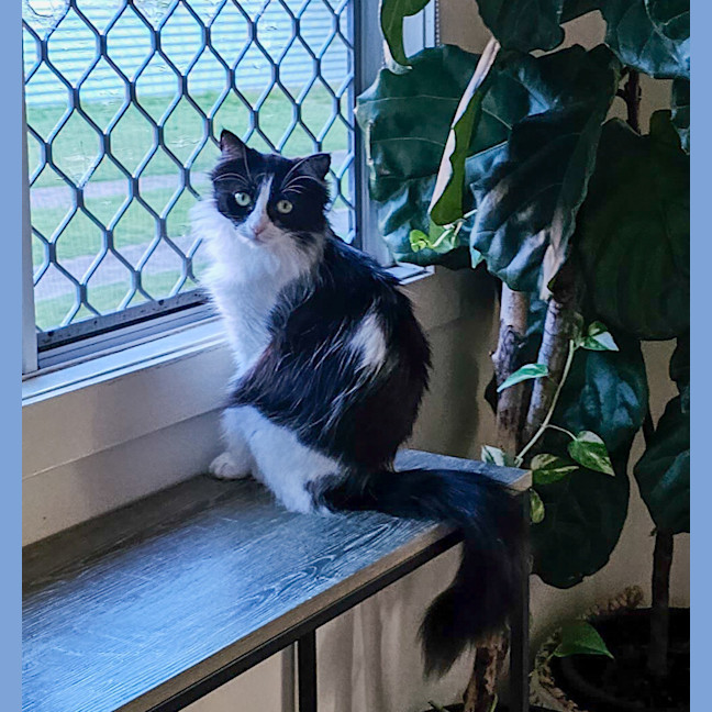 Photo of Zuri