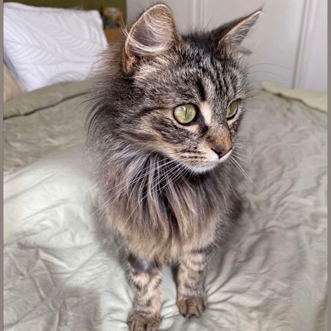 Photo of Blossom & Summer 