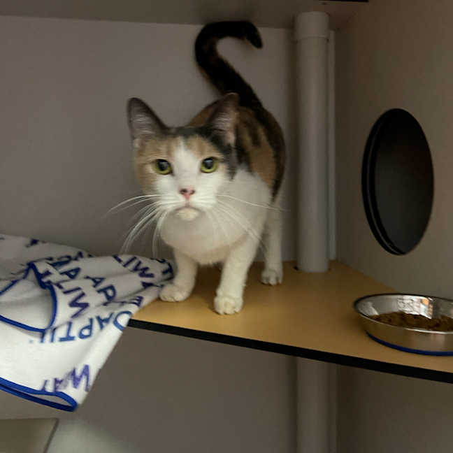Photo of Missy