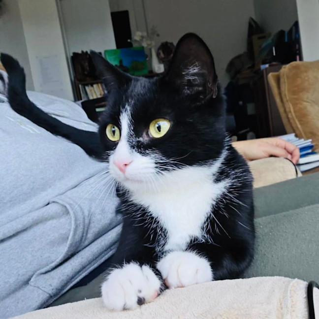 Photo of Edith   Located In Warrandyte
