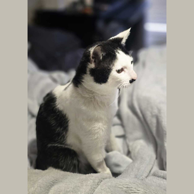 Photo of Frank