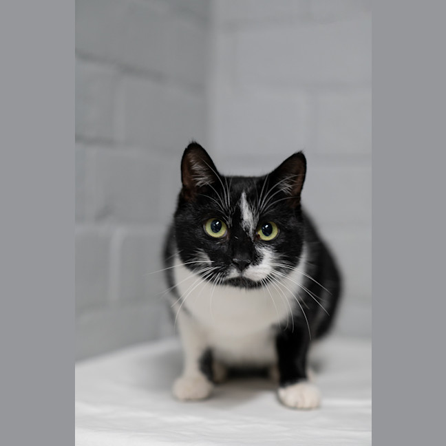 Photo of Morticia