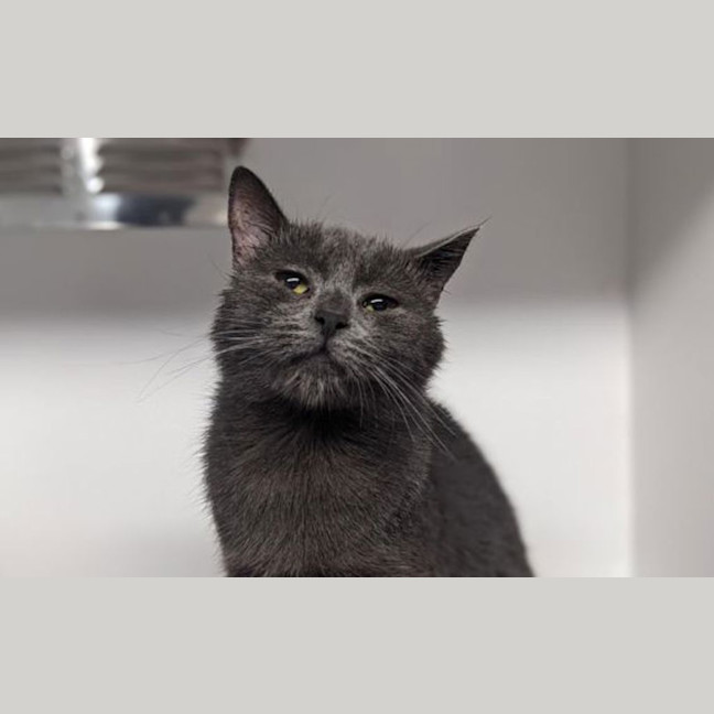 Photo of Penelope