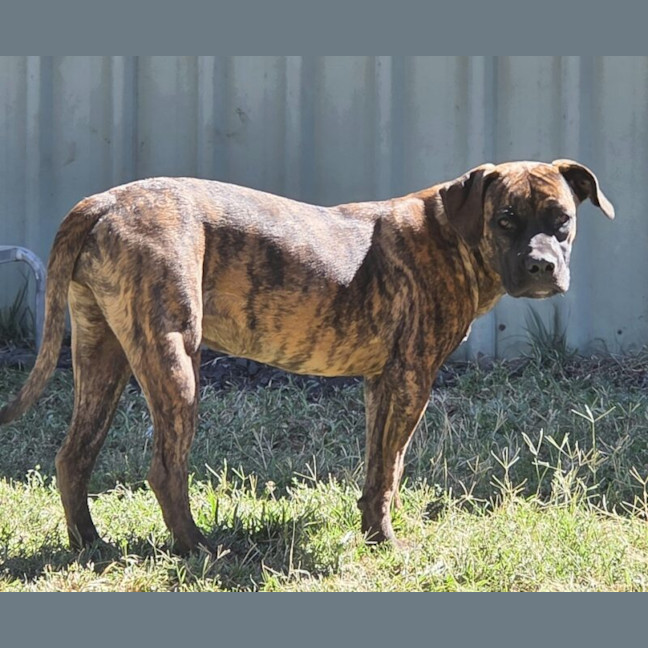 Photo of Mandy