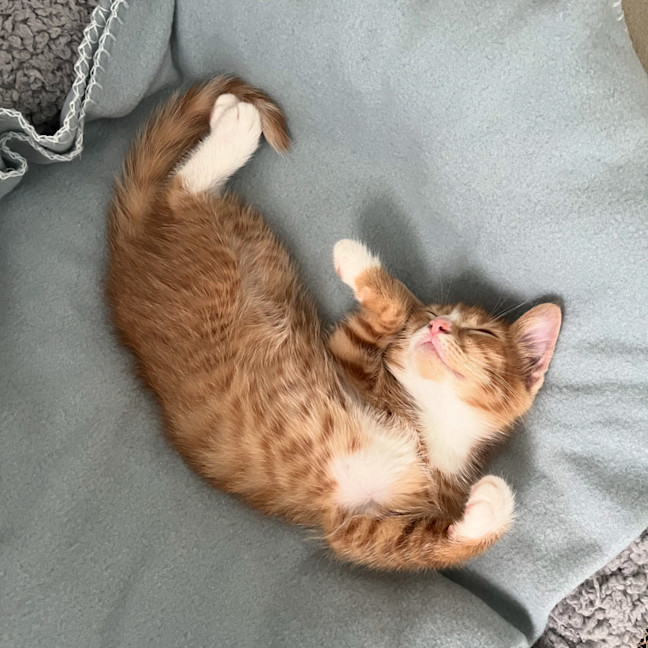 Photo of Kung Fu