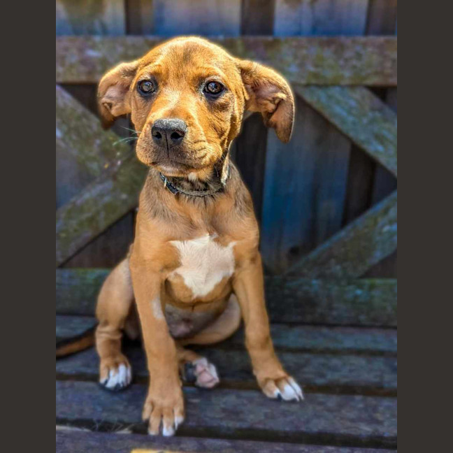 Photo of Annabelle
